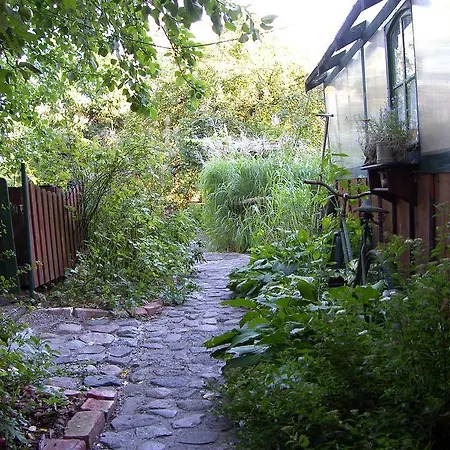 Zielony Zakatek Ilawa