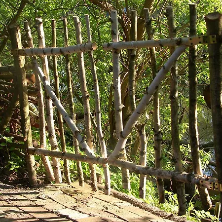 Zielony Zakatek Homestay *