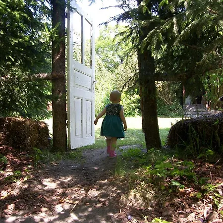 Zielony Zakatek Homestay *