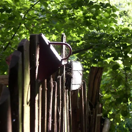 Zielony Zakatek * Ilawa