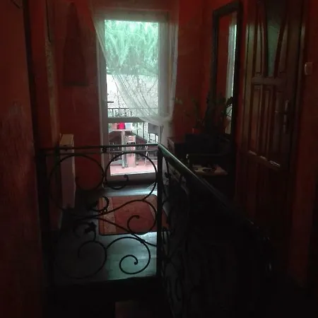 Zielony Zakatek Ilawa