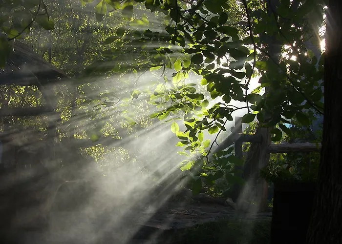 Zielony Zakatek * Iława