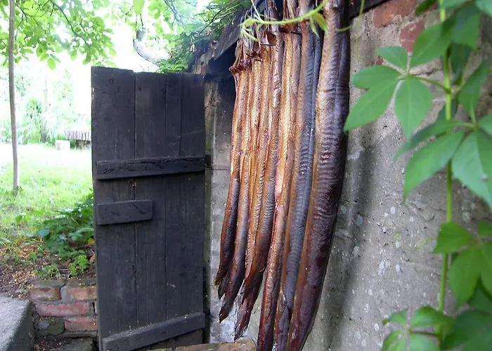 Ubytování v soukromí Zielony Zakatek Iława