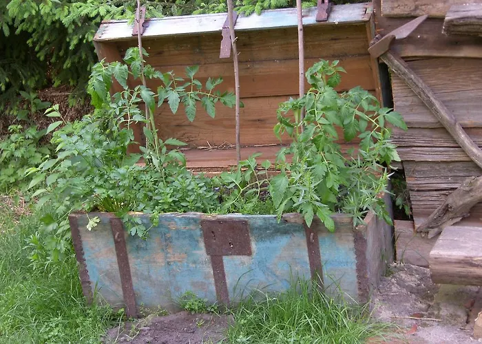 Ubytování v soukromí Zielony Zakatek Iława