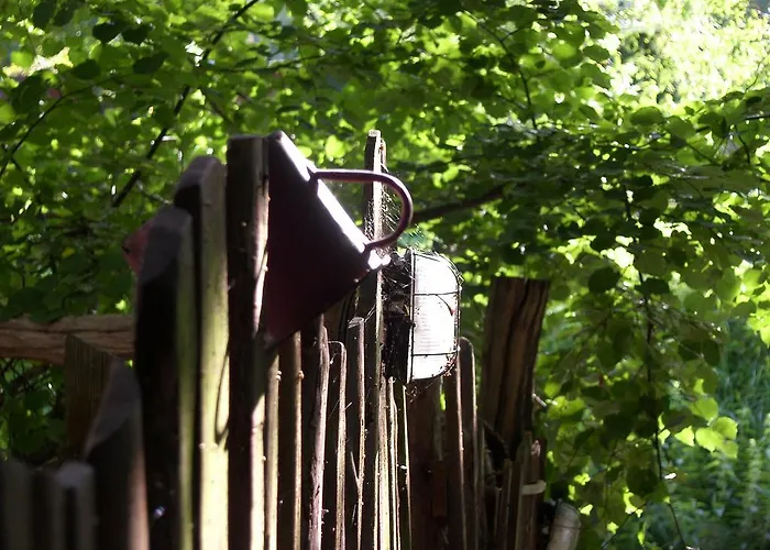 Zielony Zakatek * Iława